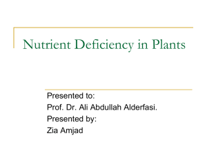 Nutrient Deficiency in Plants