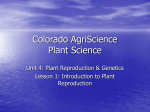 Colorado AgriScience Plant Science