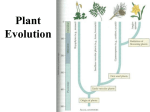 Plant Evolution - Cloudfront.net