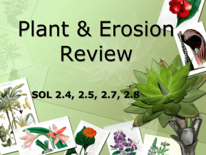 Plant & Erosion Review