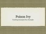 Poison Ivy - kmsparkman