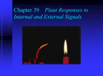 Ch. 39 Plant responses