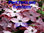 Plant Parts2