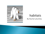habitats_rachel