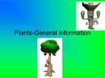 Plants-General information
