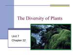 The Diversity of Plants