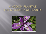 Kingdom Plantae The Diversity of Plants - Biology102-104