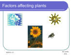 Factors affecting plants