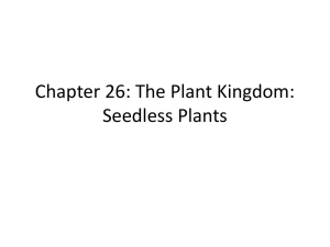 Chapter 26 Seedless Plants PP Notes