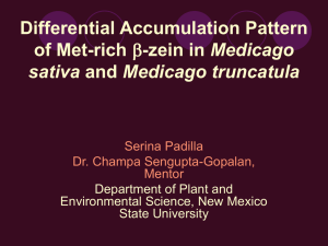 Differential Accumulation Pattern of Met-rich beta