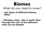 Climate/Soil