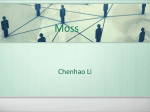 Moss - chenhaoli