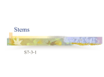 S7-3-1 Stems