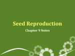 Seed Reproduction