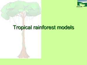 Rainforest - s3.amazonaws.com