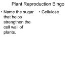 Plant Reproduction Bingo
