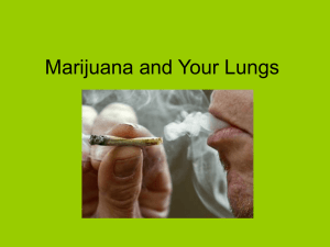 Marijuana and Your Lungs