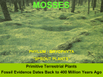 Mosses - Mr. Lesiuk