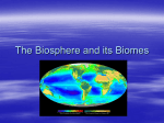 The Biosphere and its Biomes