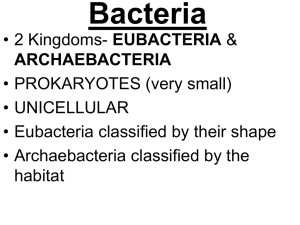 File - Cardinal Biology