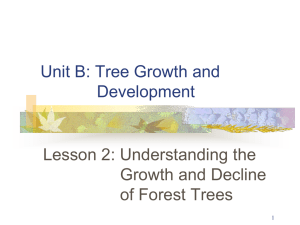 ForestGrowthAndDecline-English