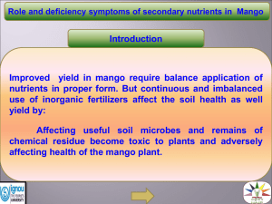 Integrated nutrient management in mango