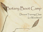 Botany Boot Camp