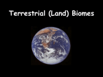 Land Biomes - TeacherWeb
