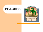 peaches - bYTEBoss