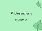 Photosynthesis - World of Teaching