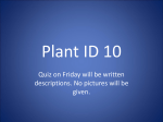 Plant ID 10 - Schoolwires
