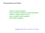 04 A, B plants and photosynthesis - share1
