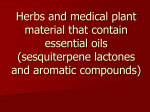 06. MP and MPM that contain essential oils (sesquiterpene lactones