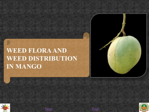 4.weed flora and weed distribution in mango added