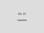 Vegetable Notes