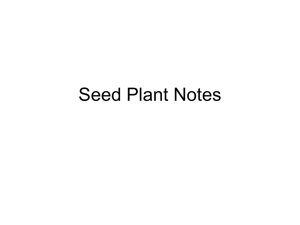 Seed Plant Notes