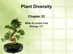 Kingdom Plantae Ch 22