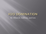 H2O Domination