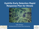 Hydrilla Early Detection Rapid Response Plan for Illinois Cathy McGlynn