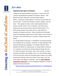 Septoria leaf spot of tomato: