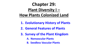 Chapter 29: Plant Diversity I – How Plants Colonized Land
