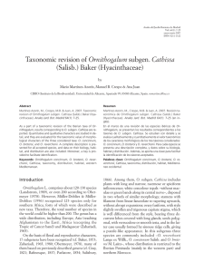 Ornithogalum (Salisb.) Baker (Hyacinthaceae) by Mario Martínez-Azorín, Manuel B. Crespo &amp; Ana Juan