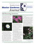 Journal Master Gardener Fall Flowering Anemones Woodford County