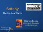 Botany The Study of Plants Rhonda Ferree Extension Educator