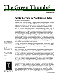 Fall is the Time to Plant Spring Bulbs