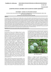 ANNONA  Research Article SONI HIMESH