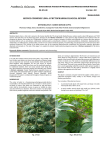 RICINUS COMMUNIS LINN: A PHYTOPHARMACOLOGICAL REVIEW Review Article