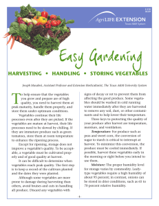 Easy Gardening • HARVESTING HANDLING