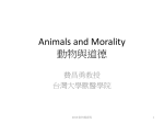 動物與道德 - 動物權台灣