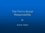 The Firm`s Social Responsibility